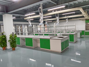 化學(xué)行業(yè)實(shí)驗(yàn)室家具案例